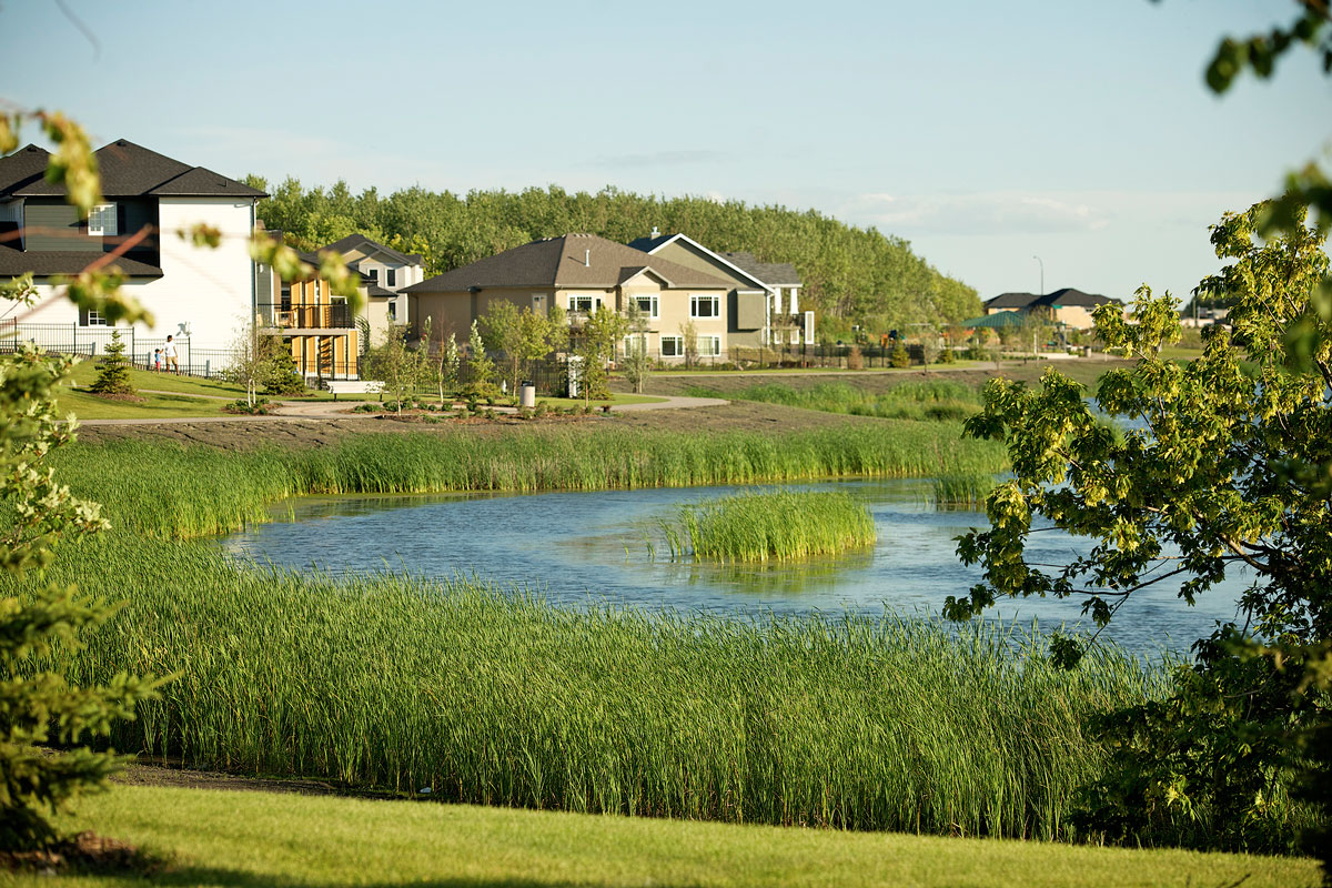 Bridgwater lake and wetlands